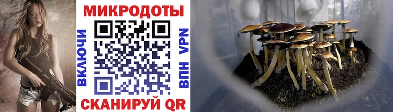Псилоцибиновые грибы GOLDEN TEACHER  Купить где  Мирный 