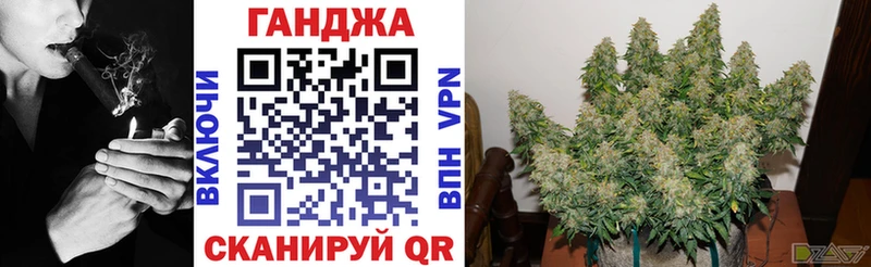 Бошки марихуана планчик  Купить закладки  Мирный 
